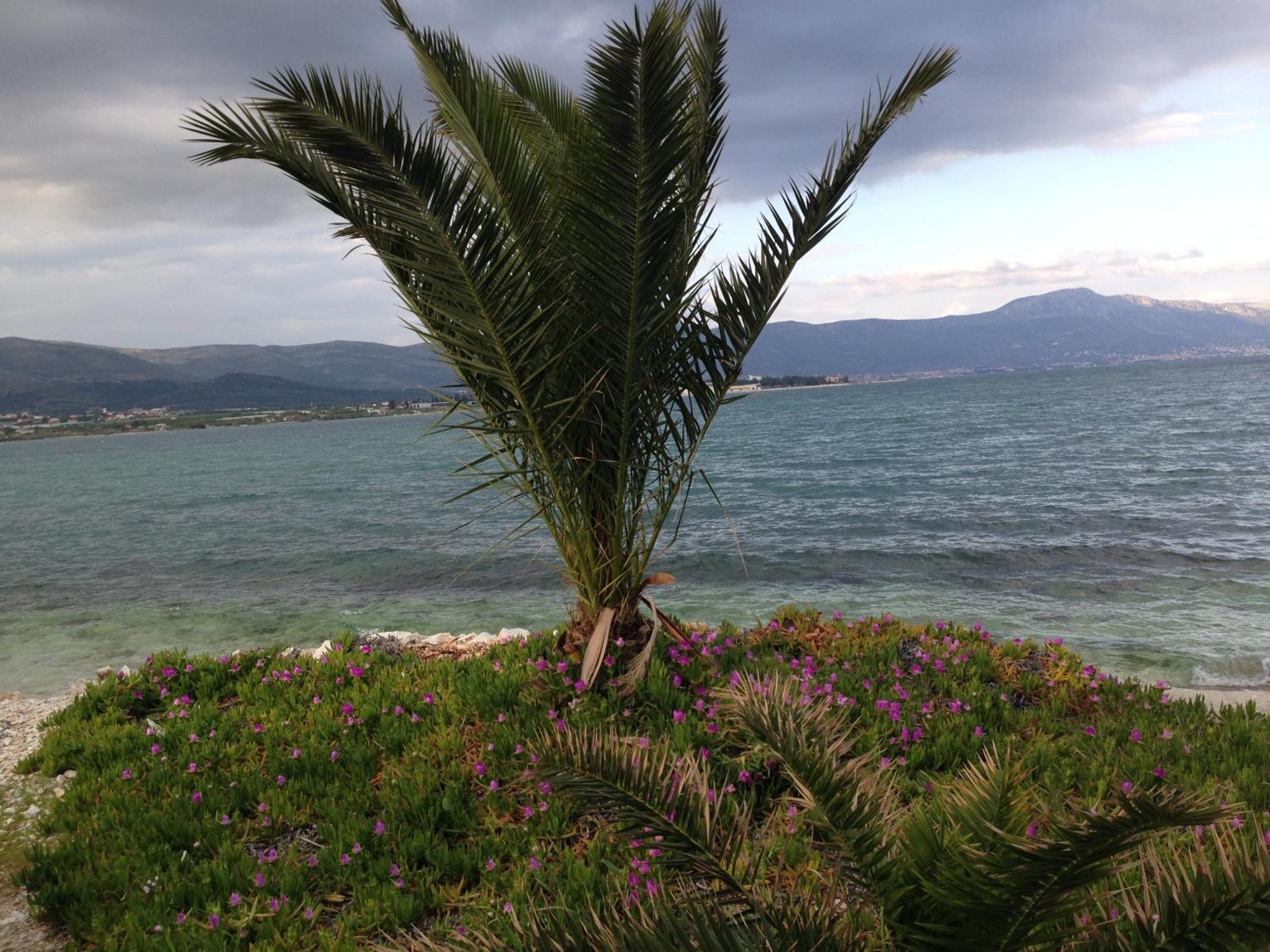 Apartments Exclusive Palace II Trogir Exterior photo